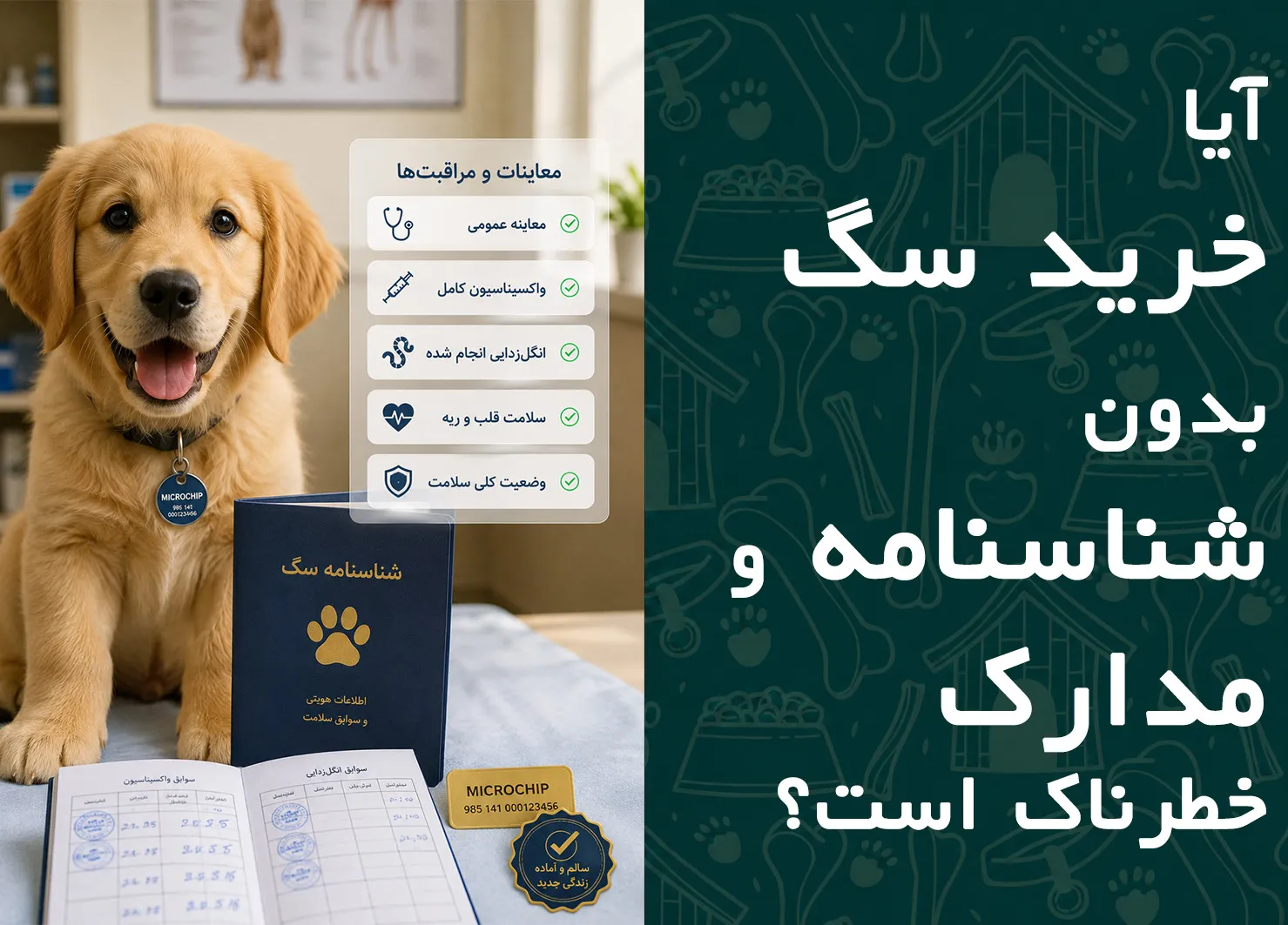 آیا خرید سگ بدون شناسنامه و مدارک خطرناک است؟